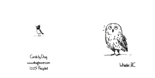 Owl